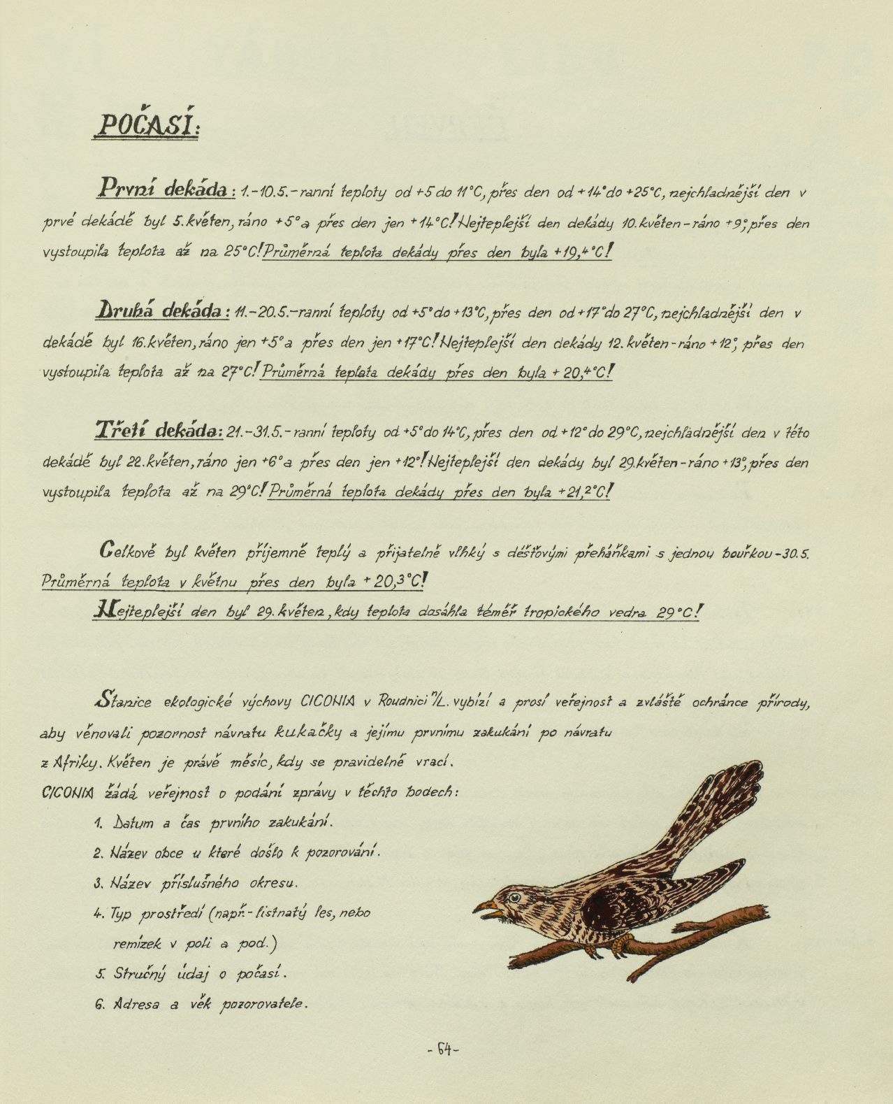 Page Background