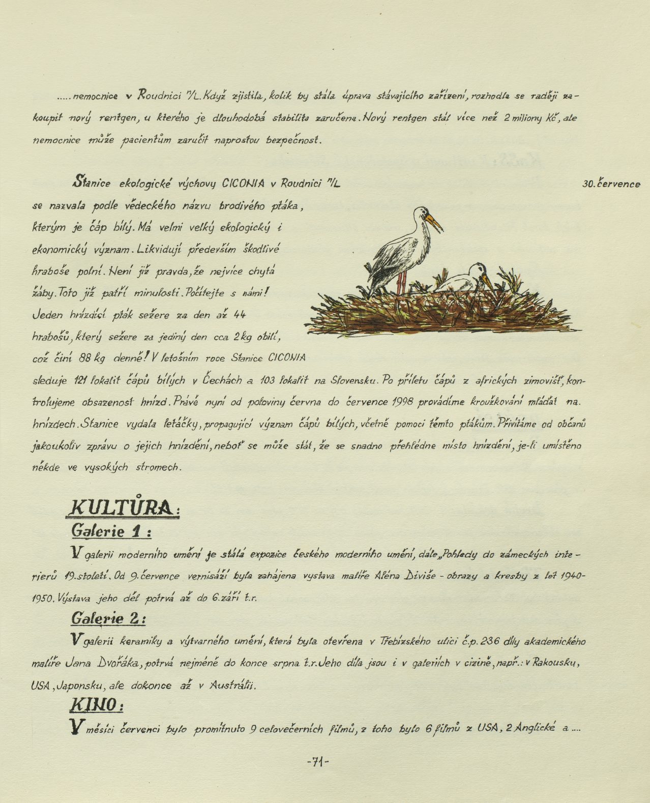 Page Background