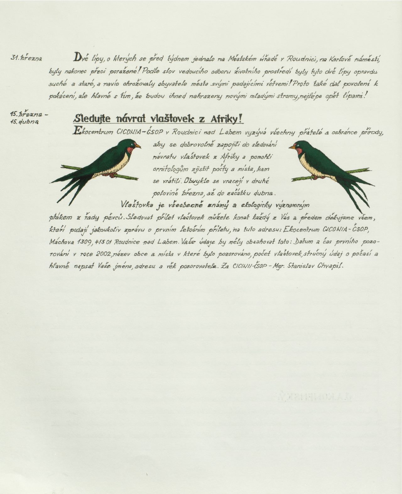 Page Background